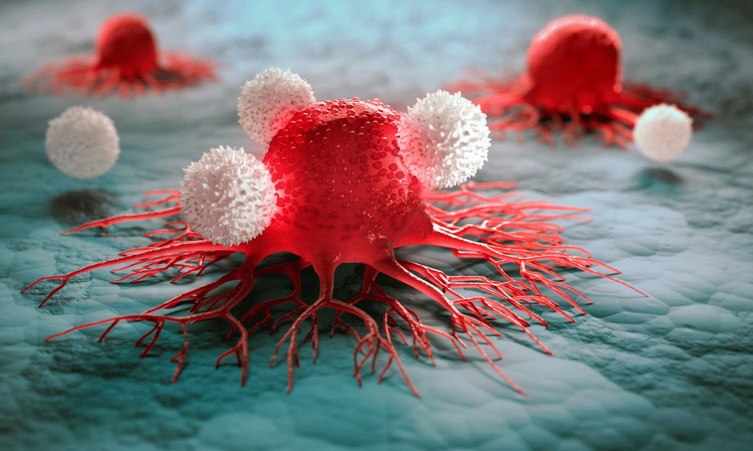 Anticorpos monoclonais