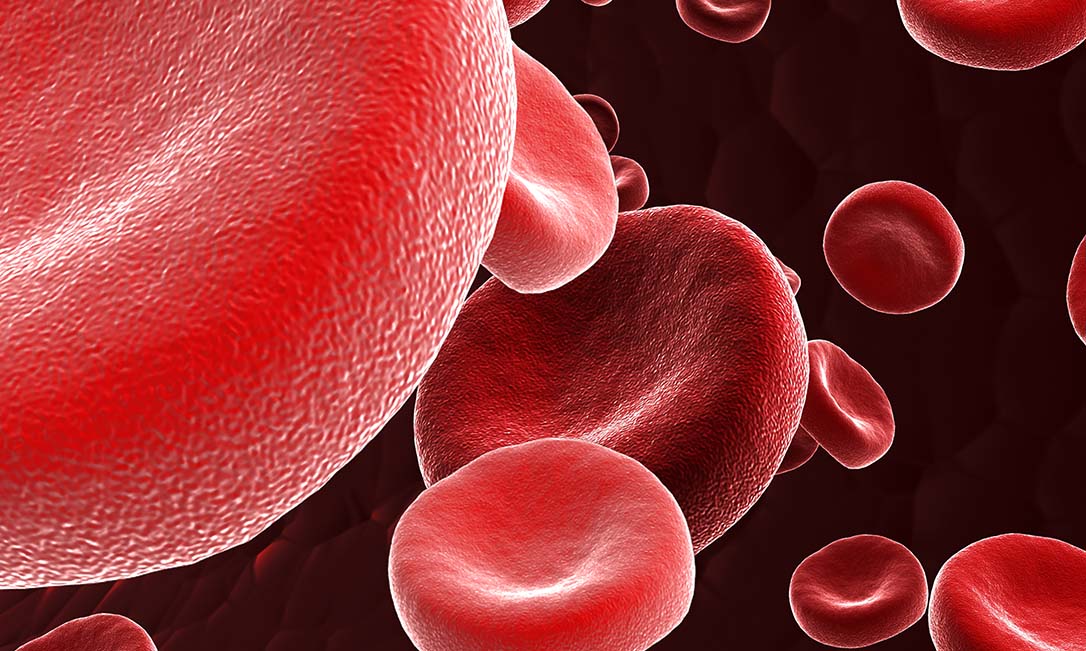 O que é a onco-hematologia?