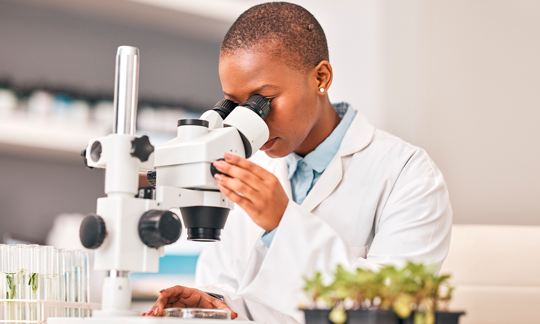 Para que serve o exame imunohistoquímico e o que pode diagnosticar?