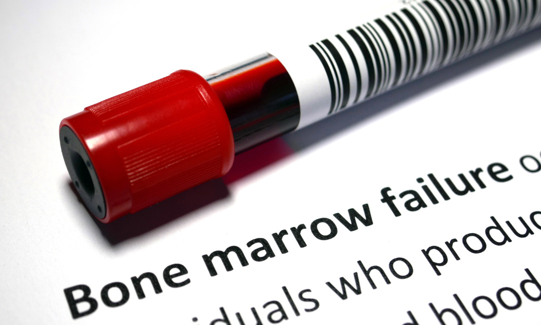 Doação de Medula: Entenda a Importância e Como Fazer Sua Parte