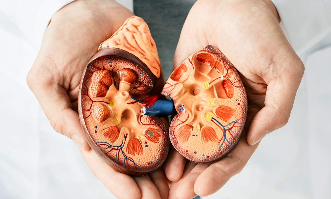 Câncer de rim: 5 sintomas que você não deve ignorar